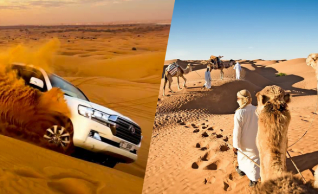 Dubai Evening Desert Safari Entertainment Shows And BBQ Dinner (Private)