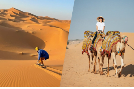 Dubai Morning Desert Safari Sand Boarding Dune Bashing And Camel Ride (Sharing)