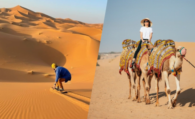 Dubai Morning Desert Safari Sand Boarding Dune Bashing And Camel Ride (Sharing)