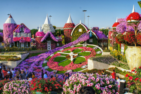 Dubai Miracle Garden Entry Tickets