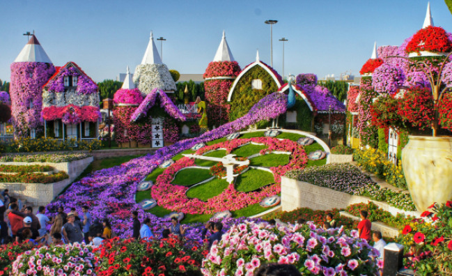 Dubai Miracle Garden Entry Tickets