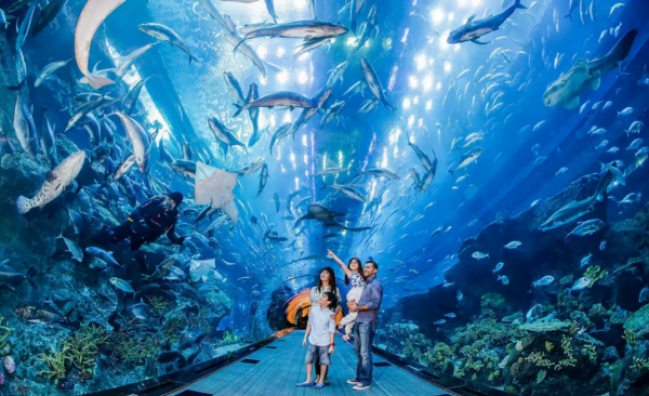 Dubai Aquarium And Underwater Zoo